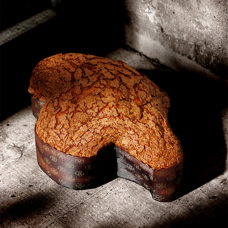 colomba-albicocca-1