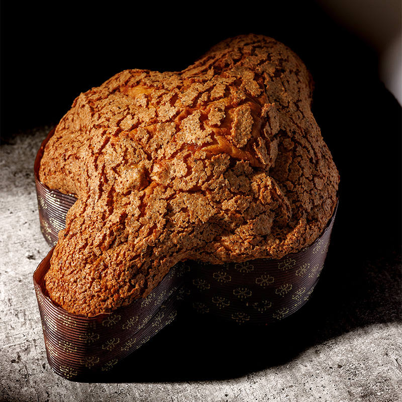 colomba-albicocca-2