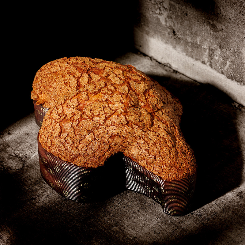 colomba-albicocca-5
