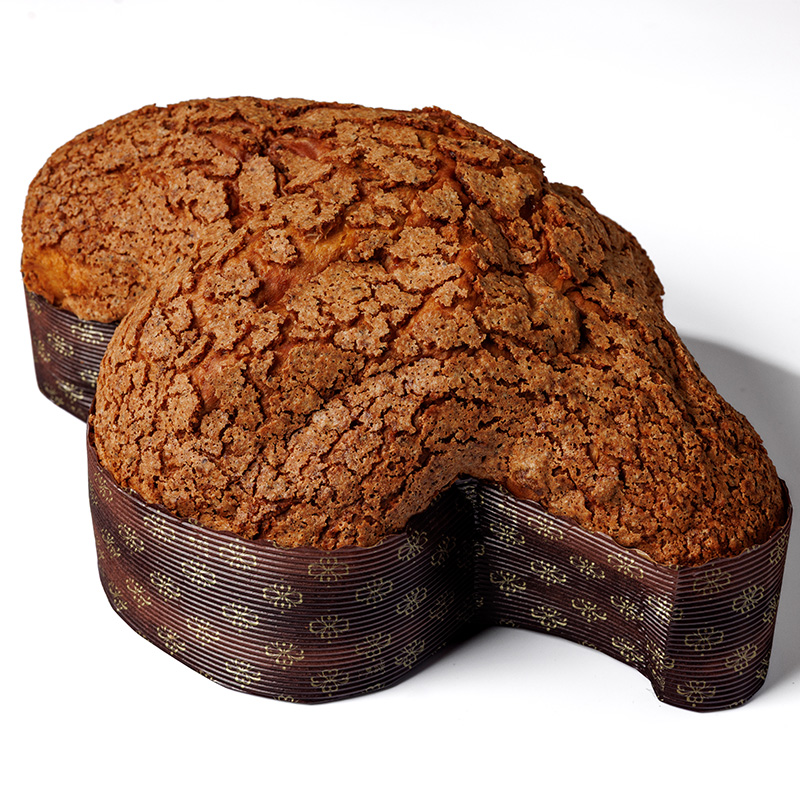 colomba-albicocca