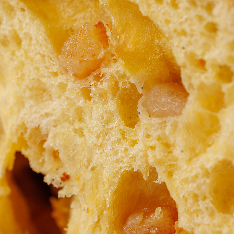 colomba-classica-5